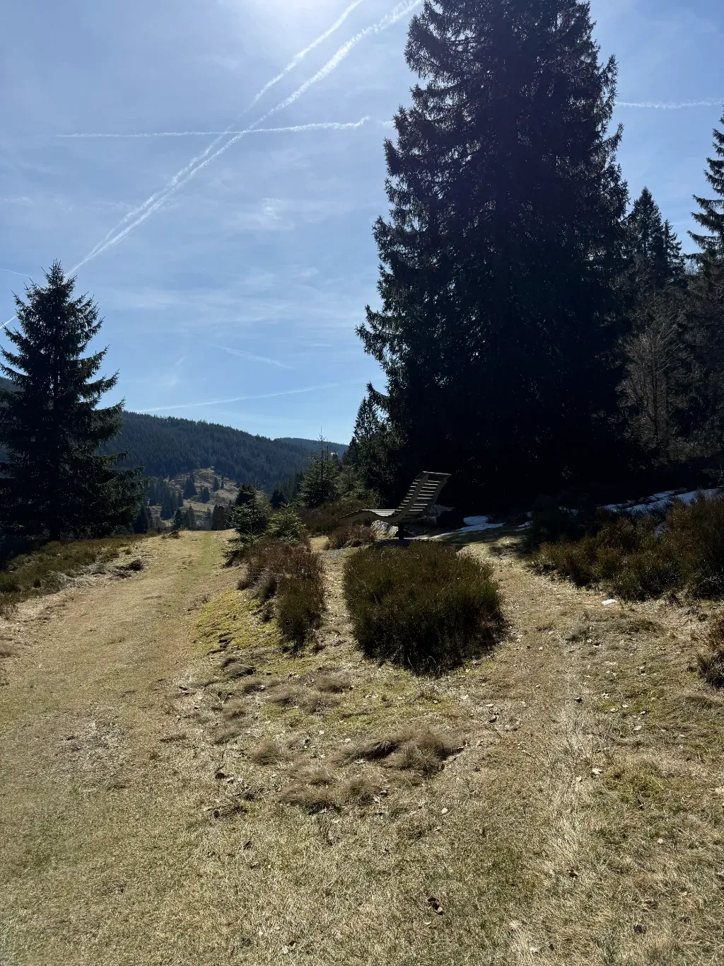geissen10