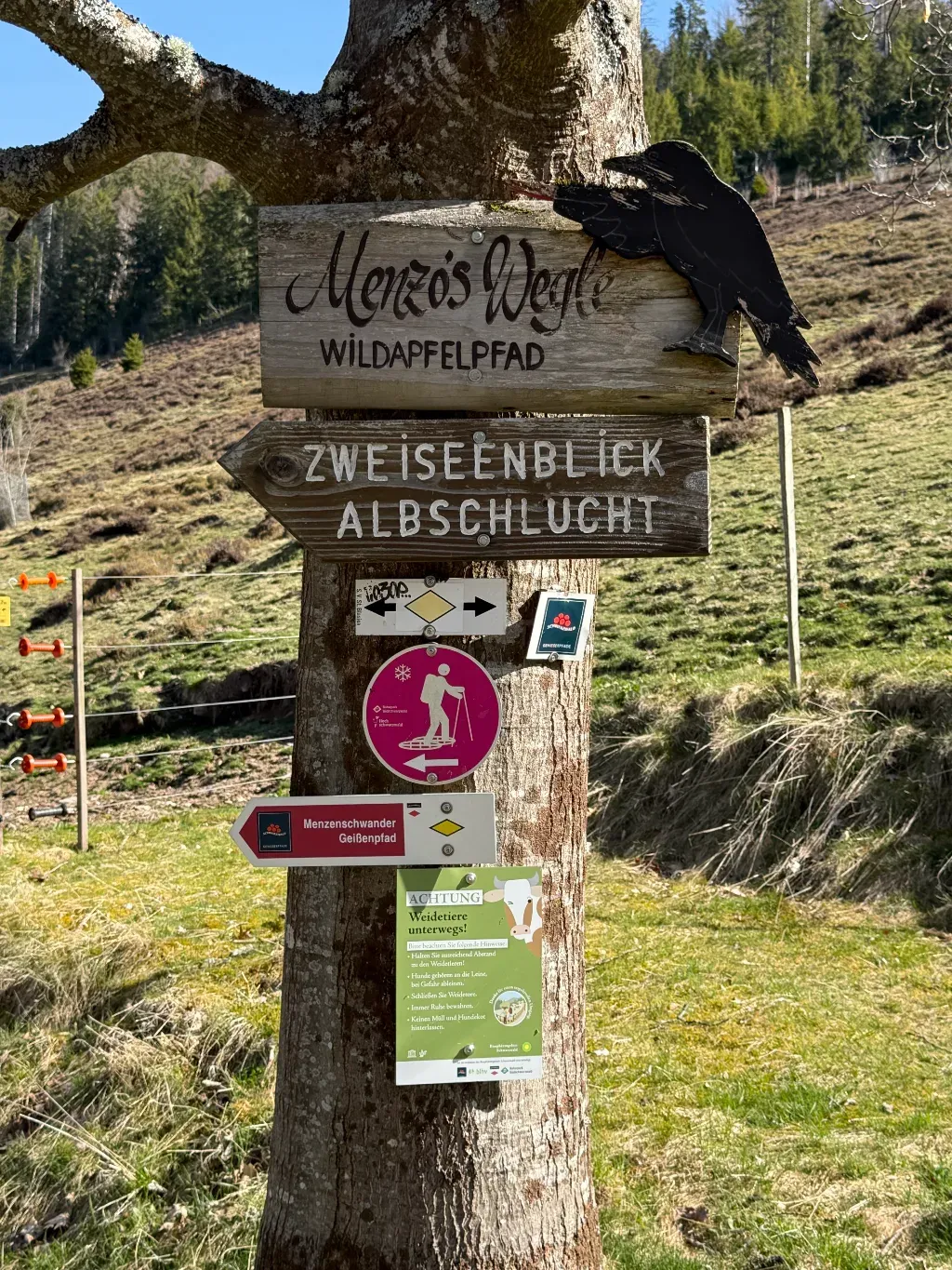 geissen4