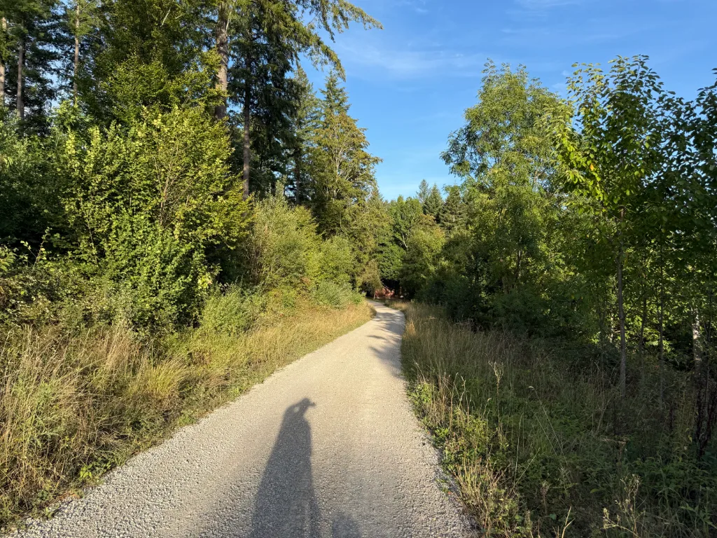 Heller Schotterweg durch grünen Wald bei Sonnenschein, im Vordergrund der lange Schatten der fotografierenden Person.