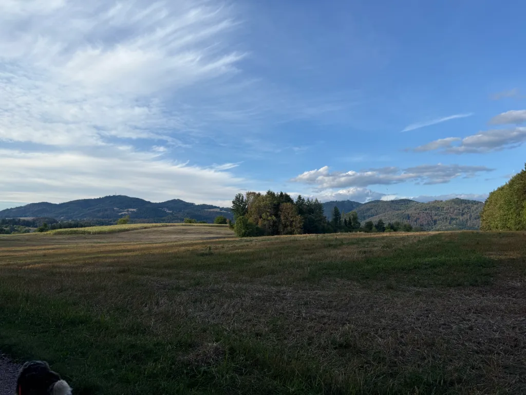 Weites abgemähtes Feld vor bewaldeten Hügeln, blauer Himmel mit Schleierwolken, unten links der Kopf des Wolfs.