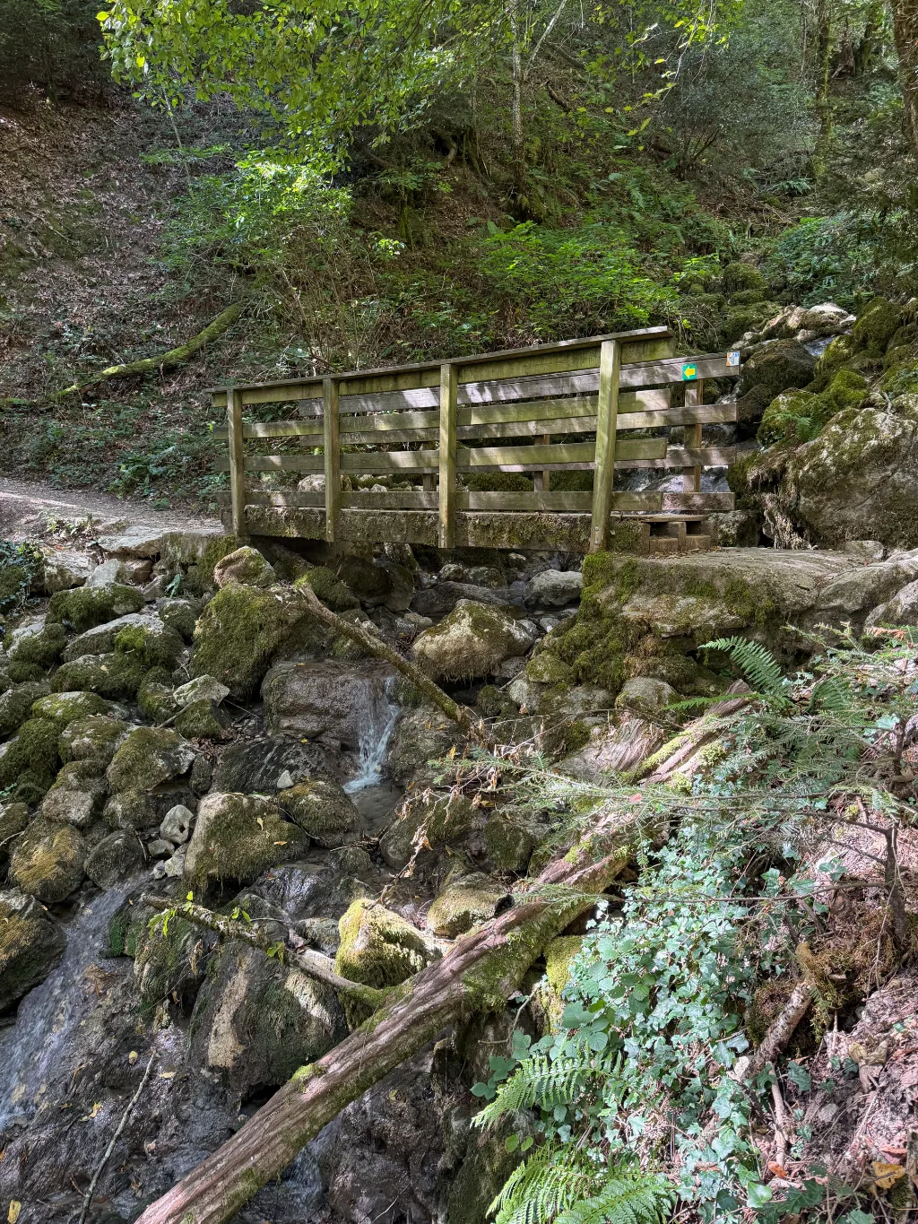 Hölzerne Fußgängerbrücke über einen Bach mit moosbedeckten Felsen in einem schattigen Wald.